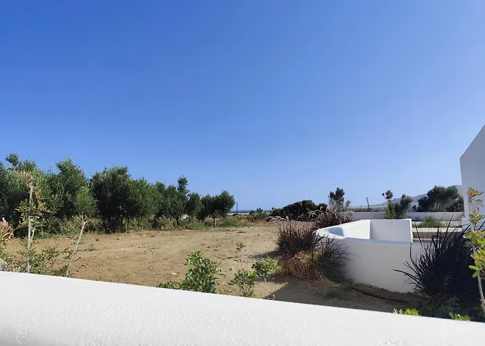 Lemon * Agia Anna (Naxos)